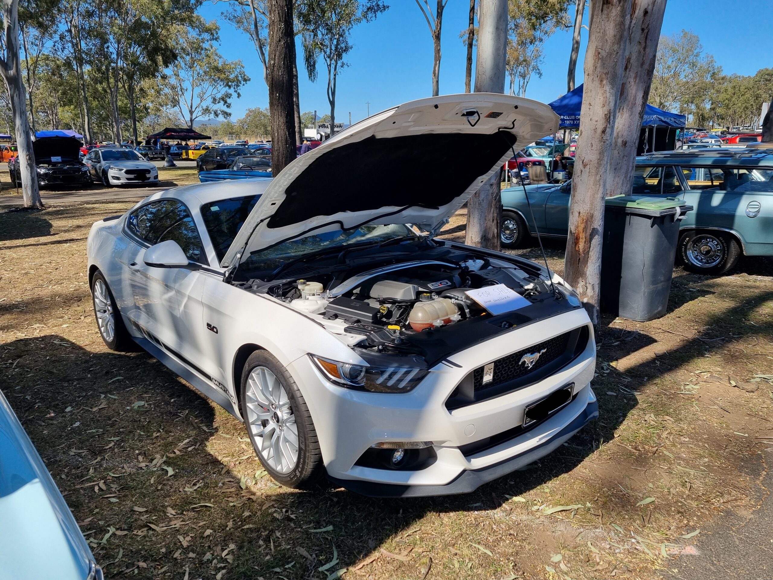 20240721_114019-scaled