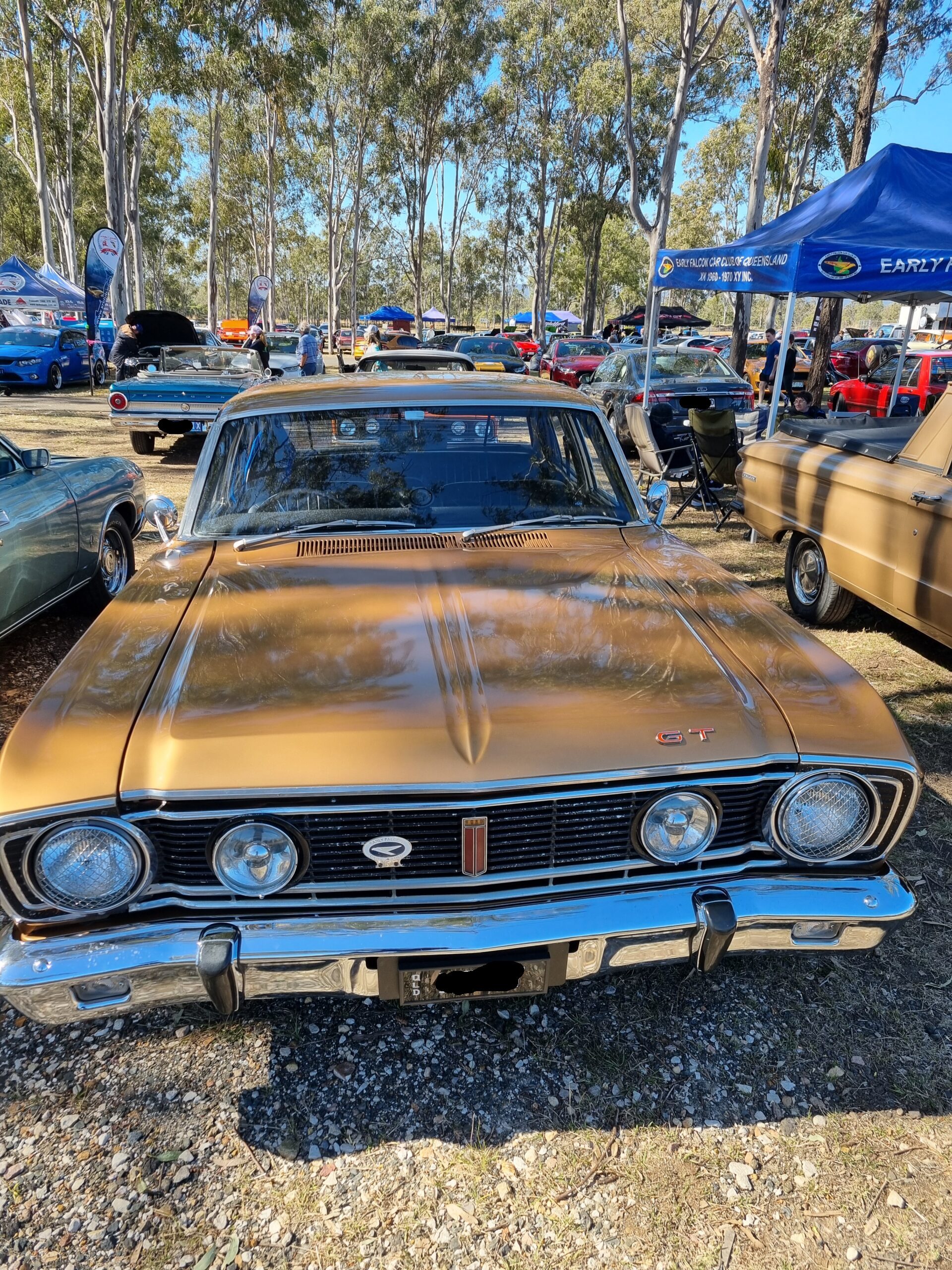 20240721_114047-scaled