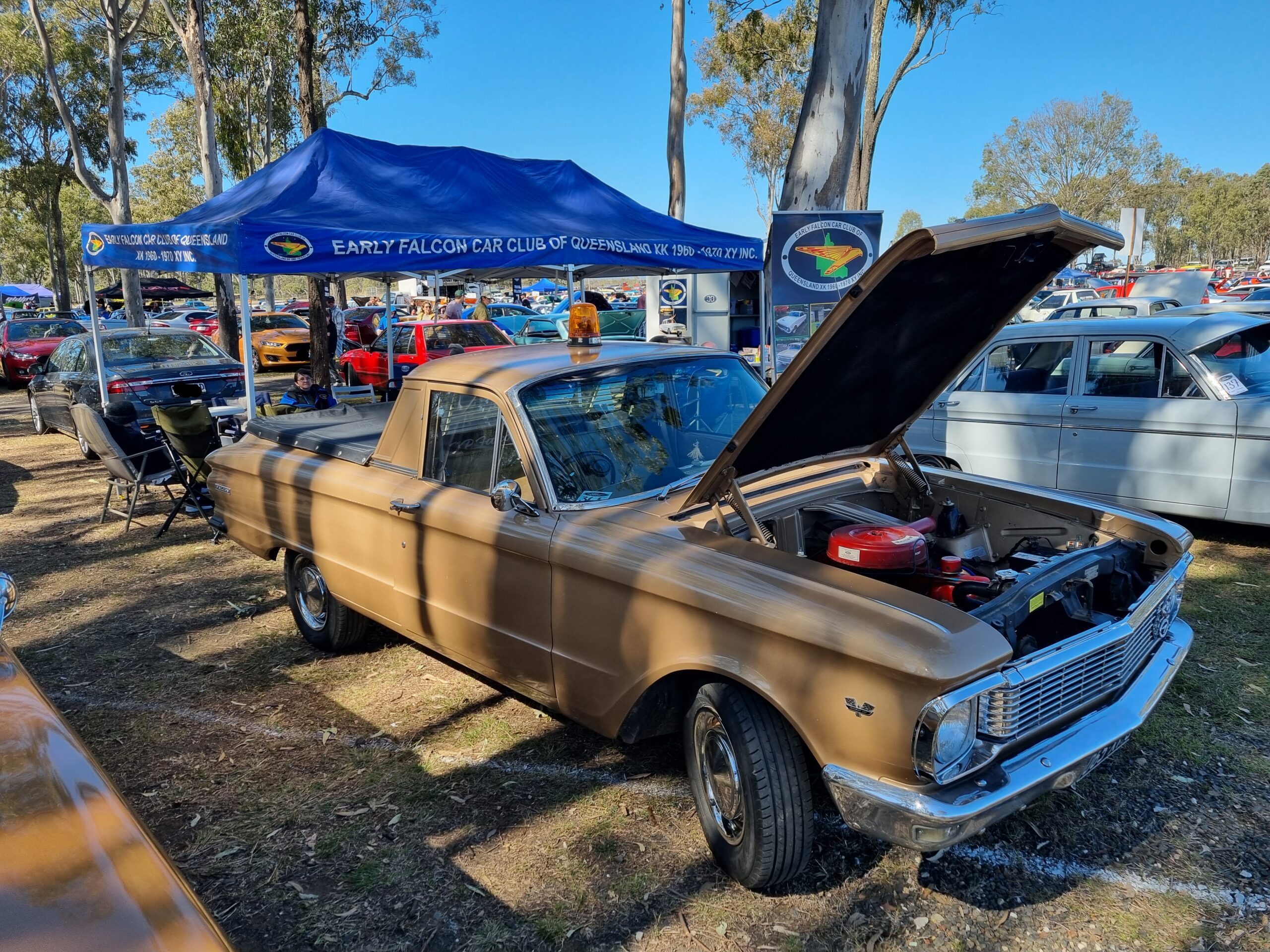 20240721_114059-scaled