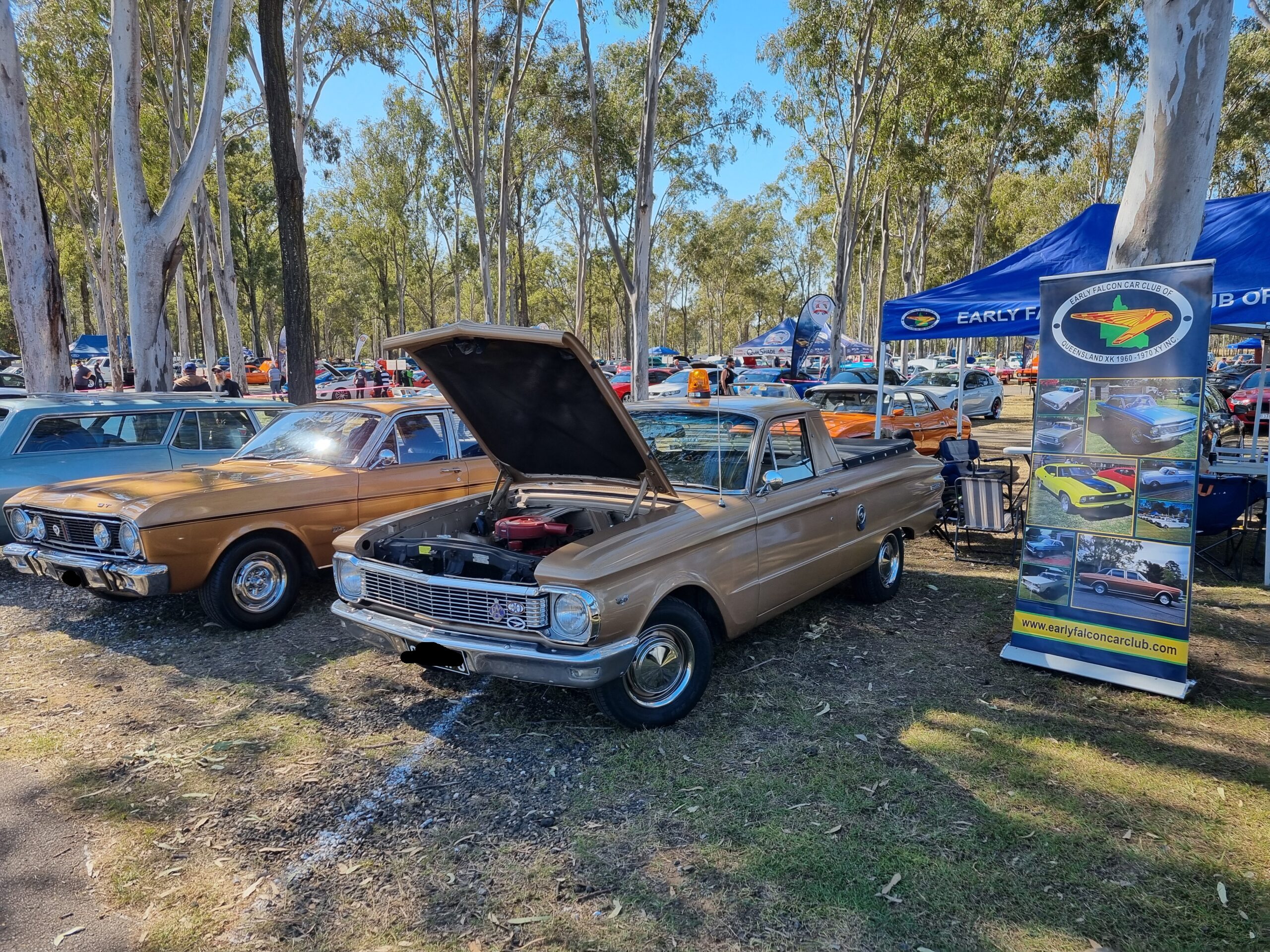 20240721_114130-scaled